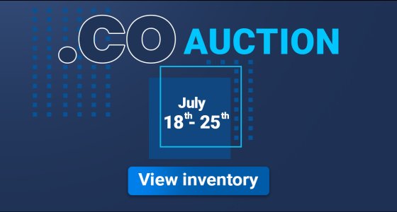 .co sedo auction - LinkedIn.jpg