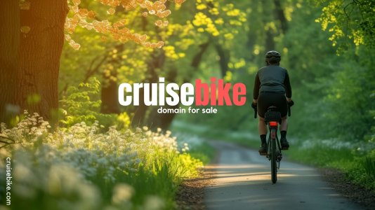 cruisebike.com.jpg